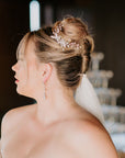 Silvy Hair Comb