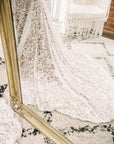 Dominique Gown - When Freddie met Lilly