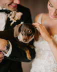 Helena Gown