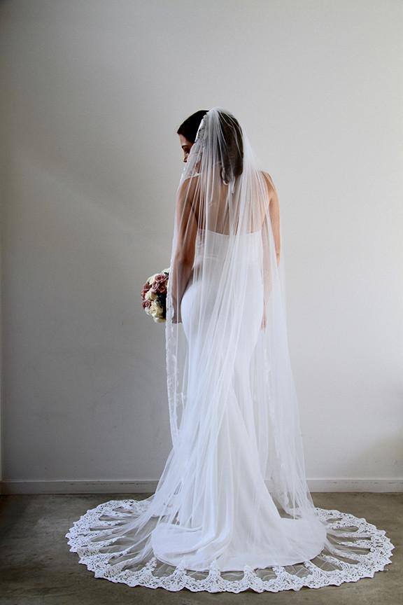 Emily Veil - When Freddie met Lilly